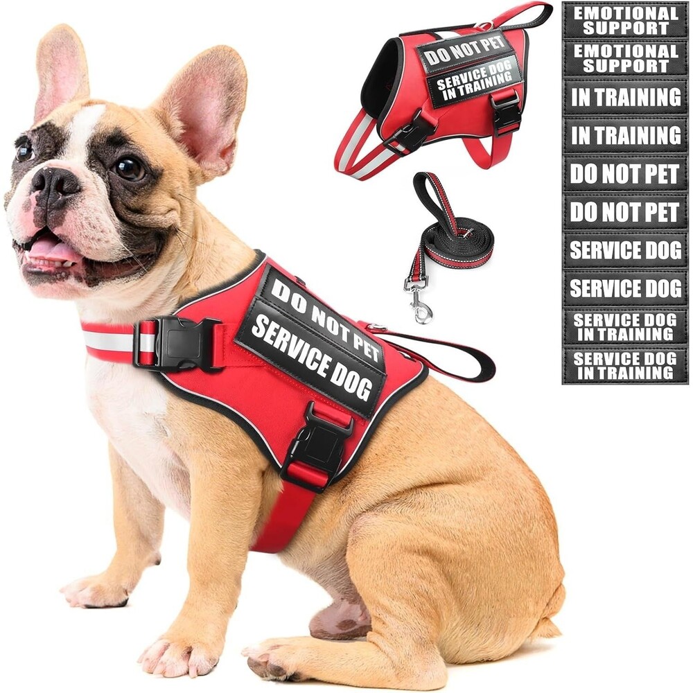 Service Dog Vest Harness and Leash Set+10 Patches,Breathable Air Mesh Medium NEW